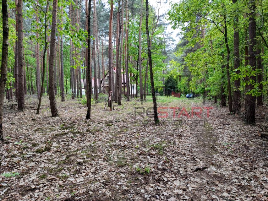 Działka Siestrzeń