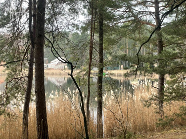 Działka budowlana Borówek
