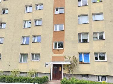 Mieszkanie blok mieszkalny przy lesie