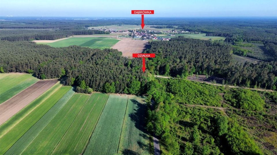 Działka budowlana Dąbrówka