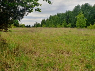 Działka budowlana Katowice