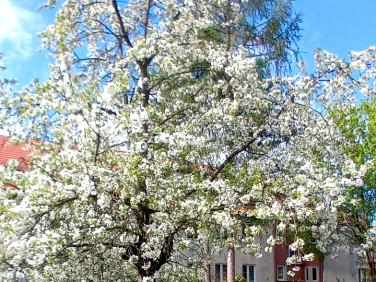 Mieszkanie Wrocław sprzedaż