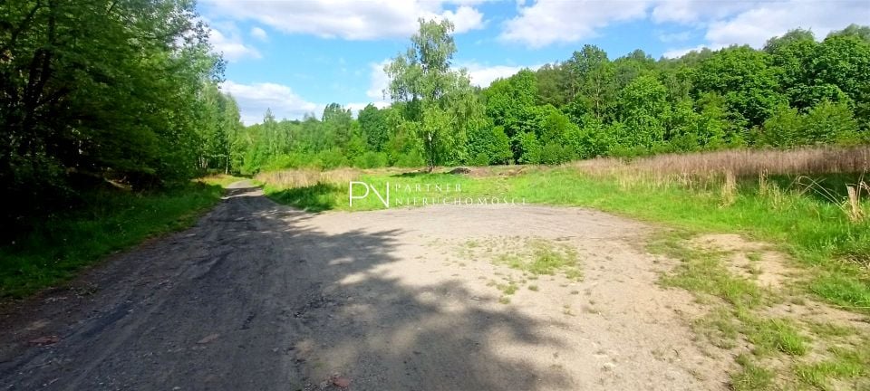 Zdjęcie 2