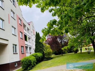 Mieszkanie Rzeszów