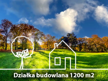 Działka przy lesie