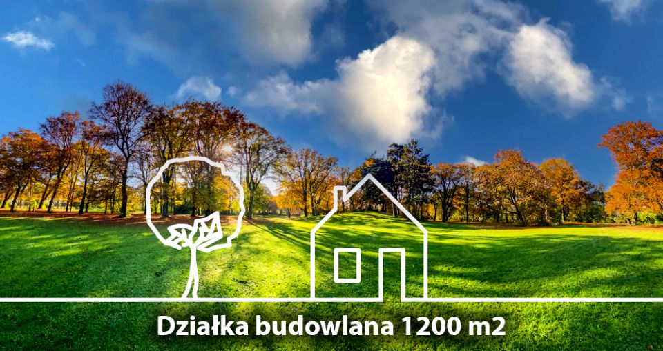 Działka przy lesie