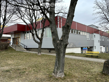 Lokal Wałbrzych