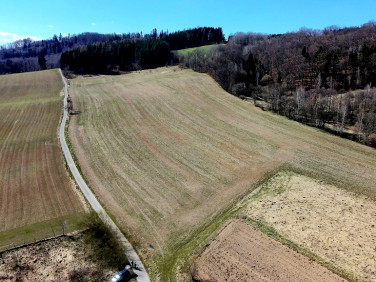 Działka Rogówek