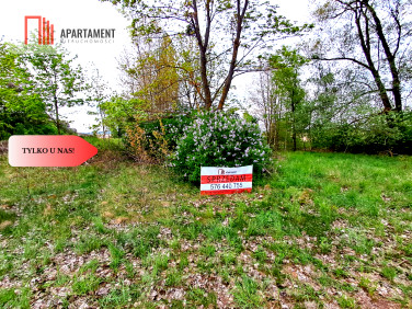 Działka inna Mamlicz sprzedam