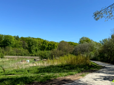 Działka Trzebnica