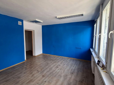 Lokal Zielona Góra