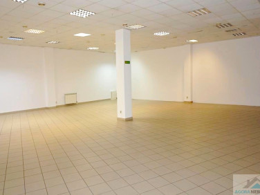 Lokal Płock