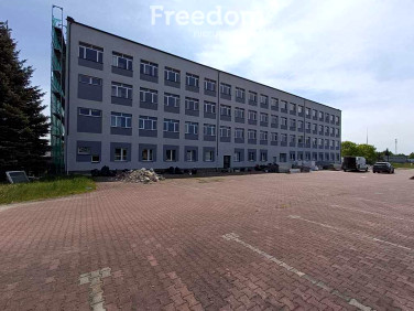 Lokal Bełchatów