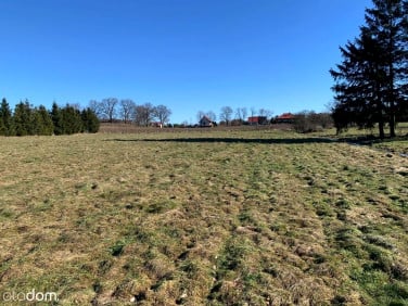 Działka inwestycyjna Bierkowo