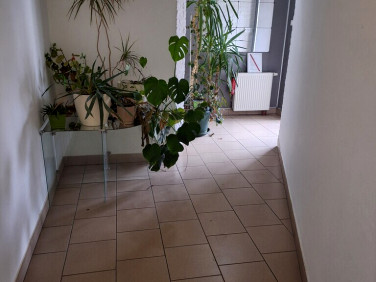 Lokal Pruszków