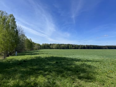 Działka Pisz