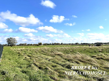 Działka budowlana Krasowiec sprzedam