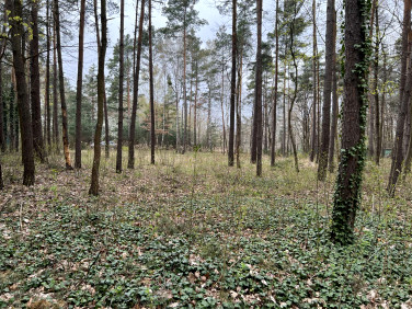 Działka budowlana Konstancin-Jeziorna
