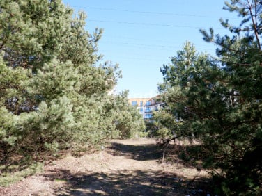 Mieszkanie apartamentowiec Gdynia