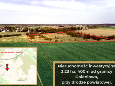 Działka Żółwia Błoć