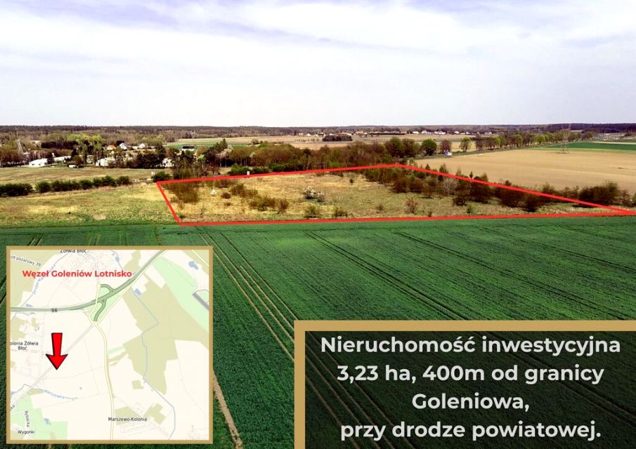 Działka Żółwia Błoć
