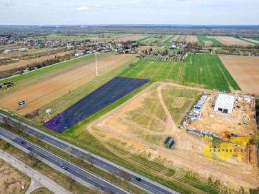 Działka usługowa Czosnów