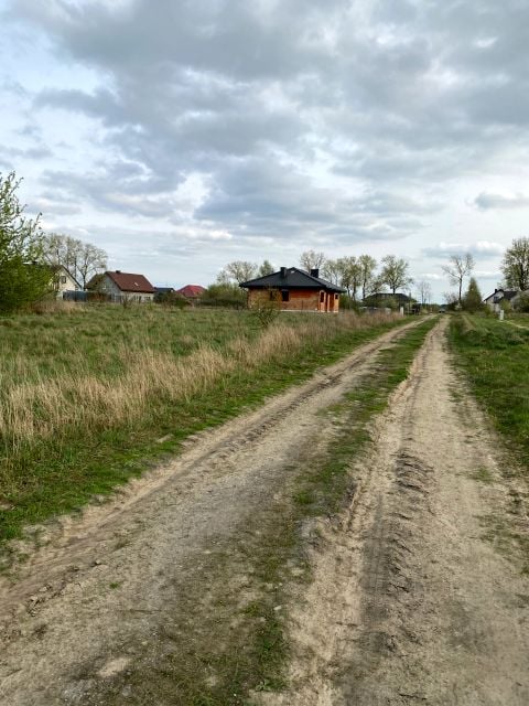 Zdjęcie 2