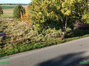 Działka Krąg