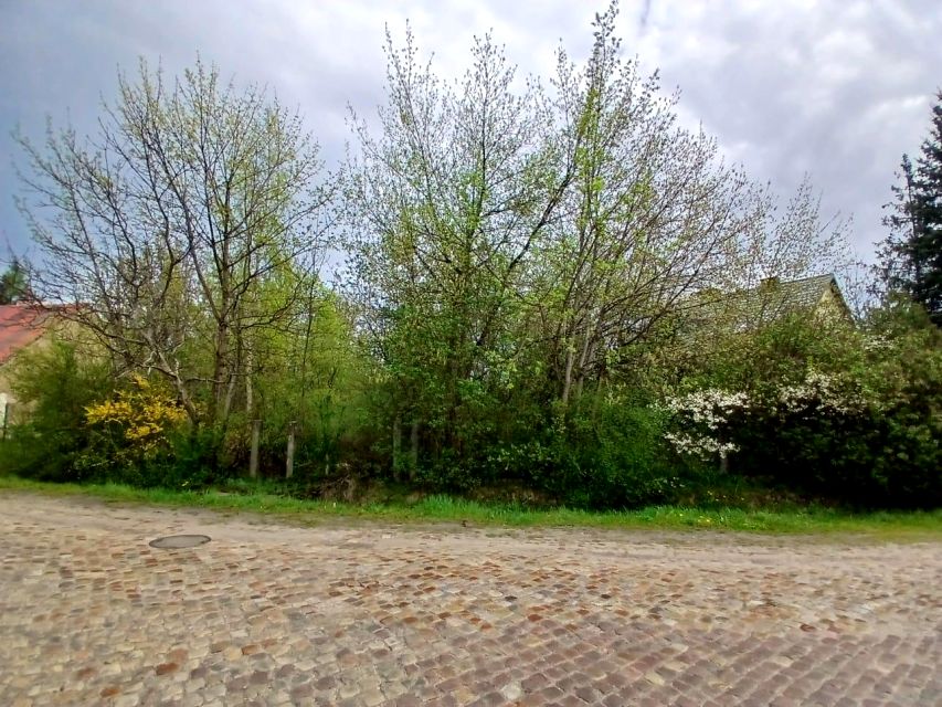 Działka Kielce