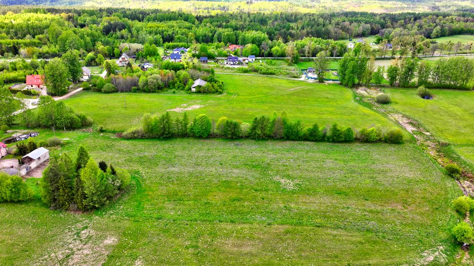 Działka przy lesie