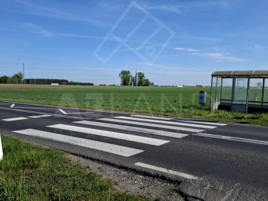 Działka budowlana Zalesie