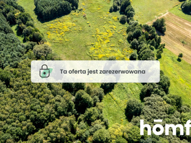 Działka Kuźniczysko
