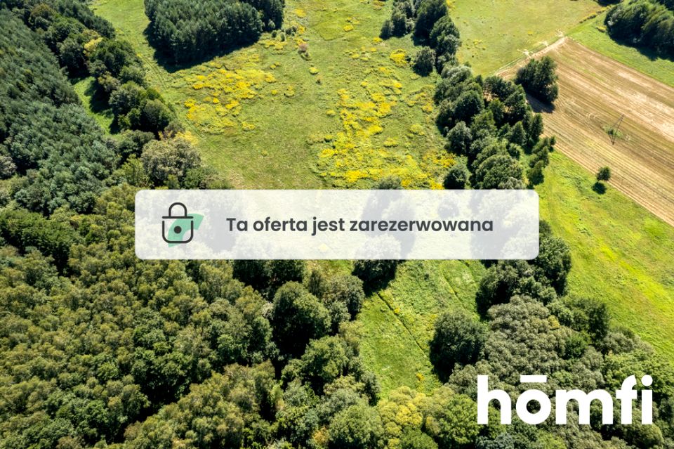 Działka Kuźniczysko