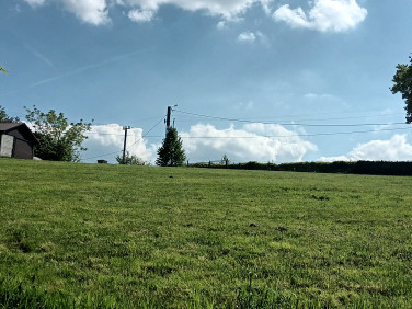 Dom Wola Nieszkowska