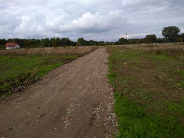 Działka budowlana Buk