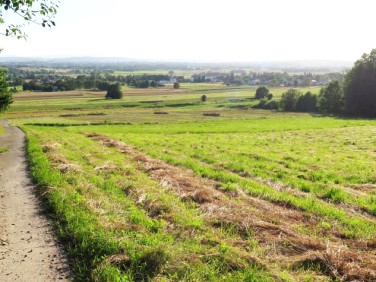 Działka rolna Odrzykoń