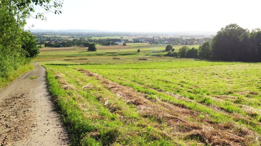 Działka rolna Odrzykoń