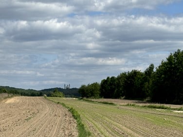 Działka inwestycyjna Cholerzyn
