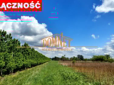 Działka rolna Dębówka