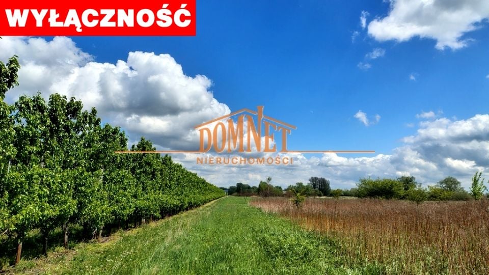Działka rolna Dębówka