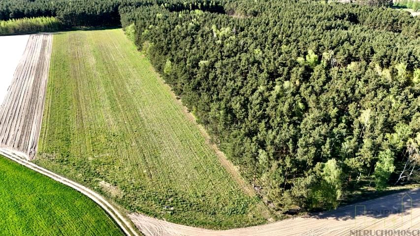 Działka budowlana Nowe Tłoki