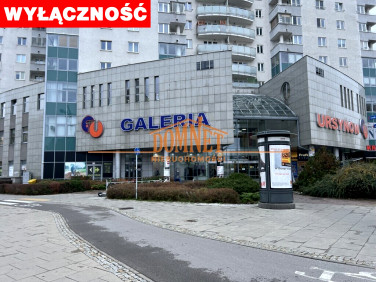 Lokal Warszawa