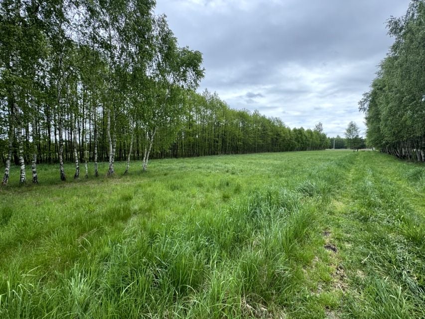 Działka Widełka
