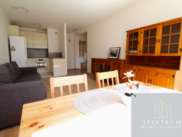 Mieszkanie apartamentowiec wynajem