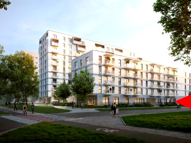 Lokal Wrocław