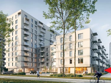 Lokal Wrocław wynajem