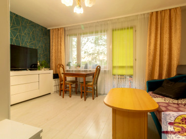 Mieszkanie Radom