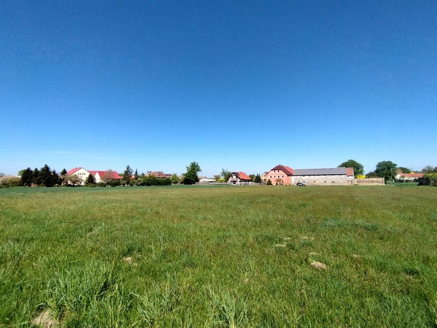 Zdjęcie 3