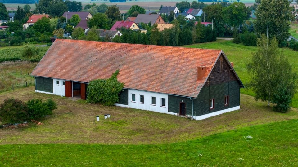 Działka siedliskowa Nowe