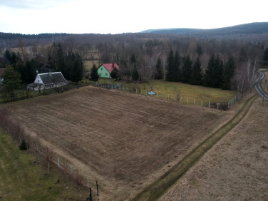 Działka budowlana Kwieciszowice